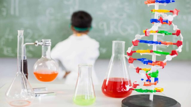 What is the Difference Between Integrated Programme and O-Level?