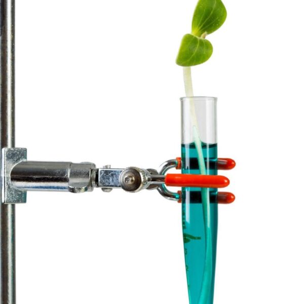 photosynthesis photosynthesis