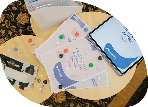 Reinforcing Application Through Purposeful Practice